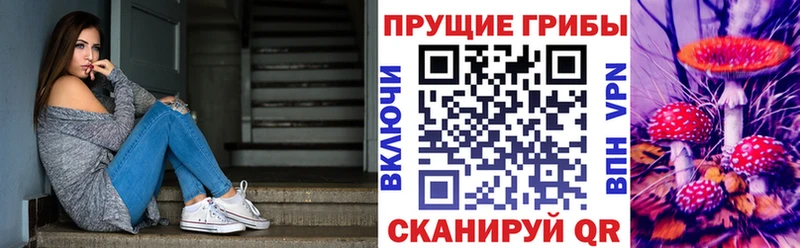 Псилоцибиновые грибы Psilocybine cubensis  купить наркотик  Кирс 